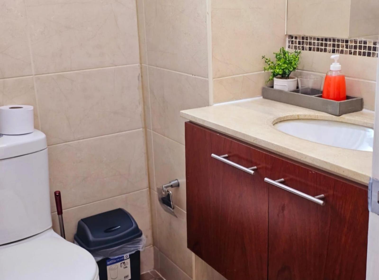 Apart Hotel Suagon Suites Santiago Centro 외부 사진